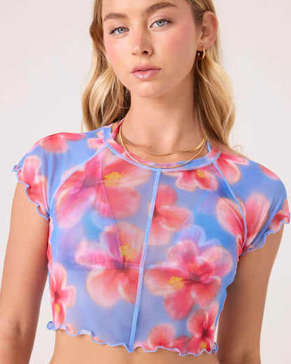 Blue Haze Hibiscus