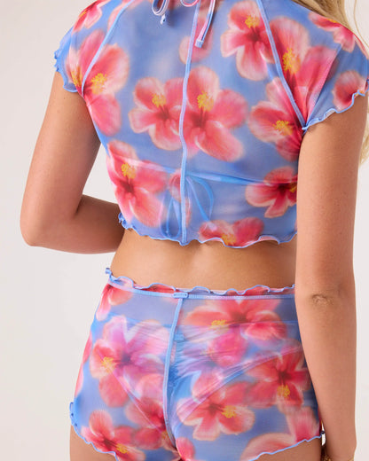 Blue Haze Hibiscus