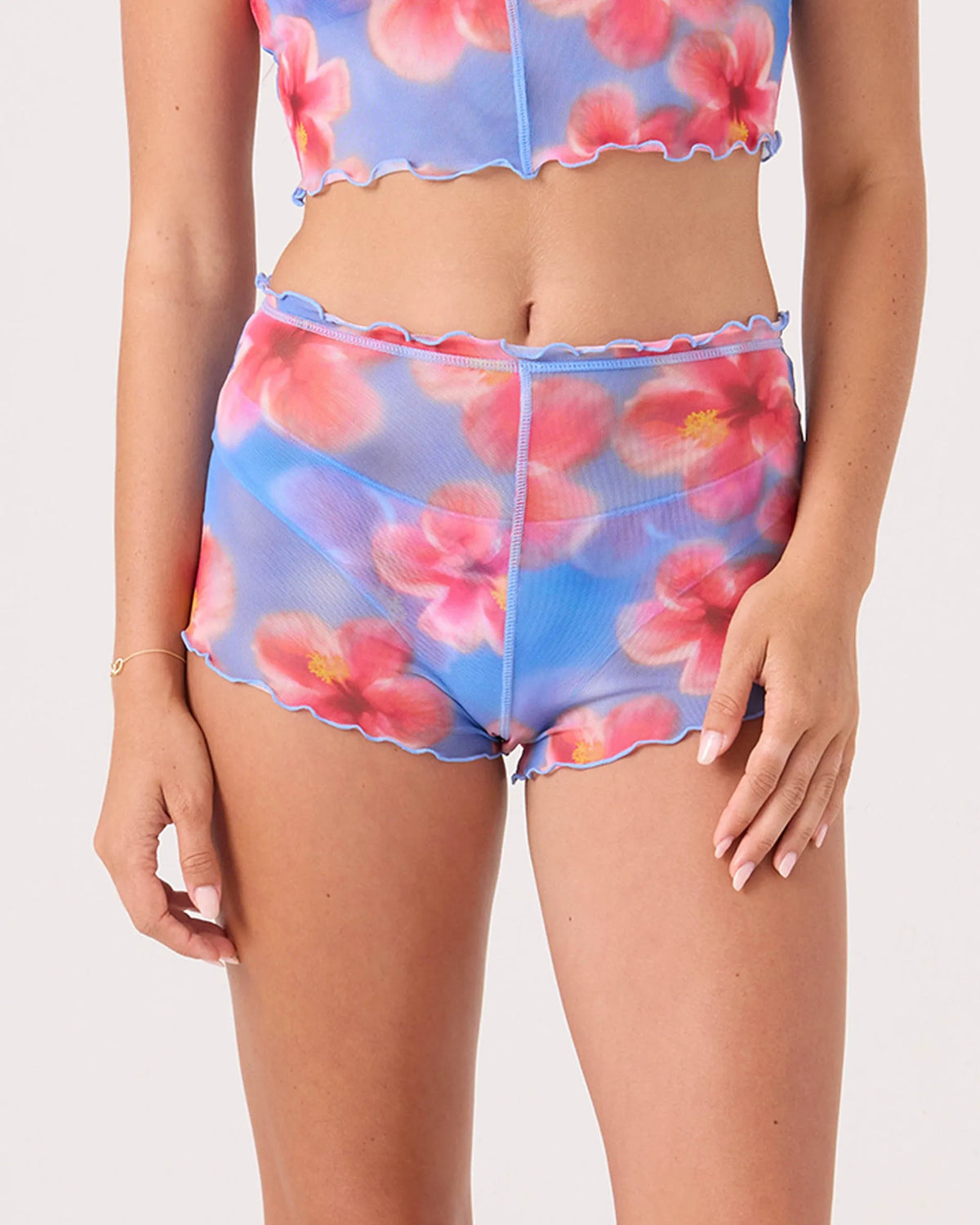 Blue Haze Hibiscus