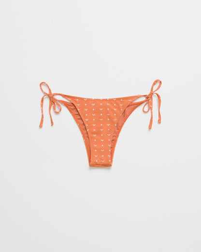 Apricot Spice