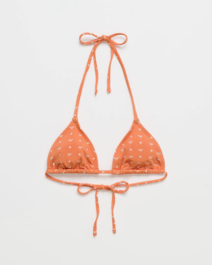 Apricot Spice