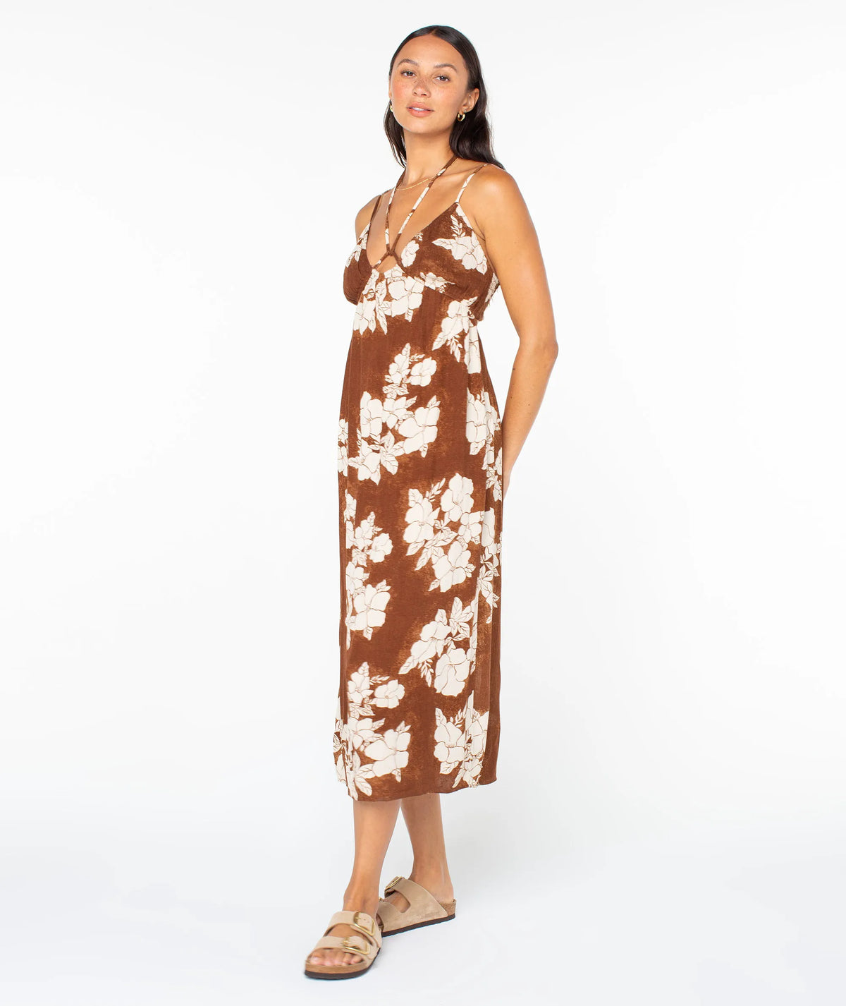 Tiramisu Hibiscus Hideaway