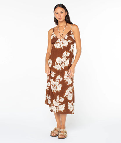 Tiramisu Hibiscus Hideaway