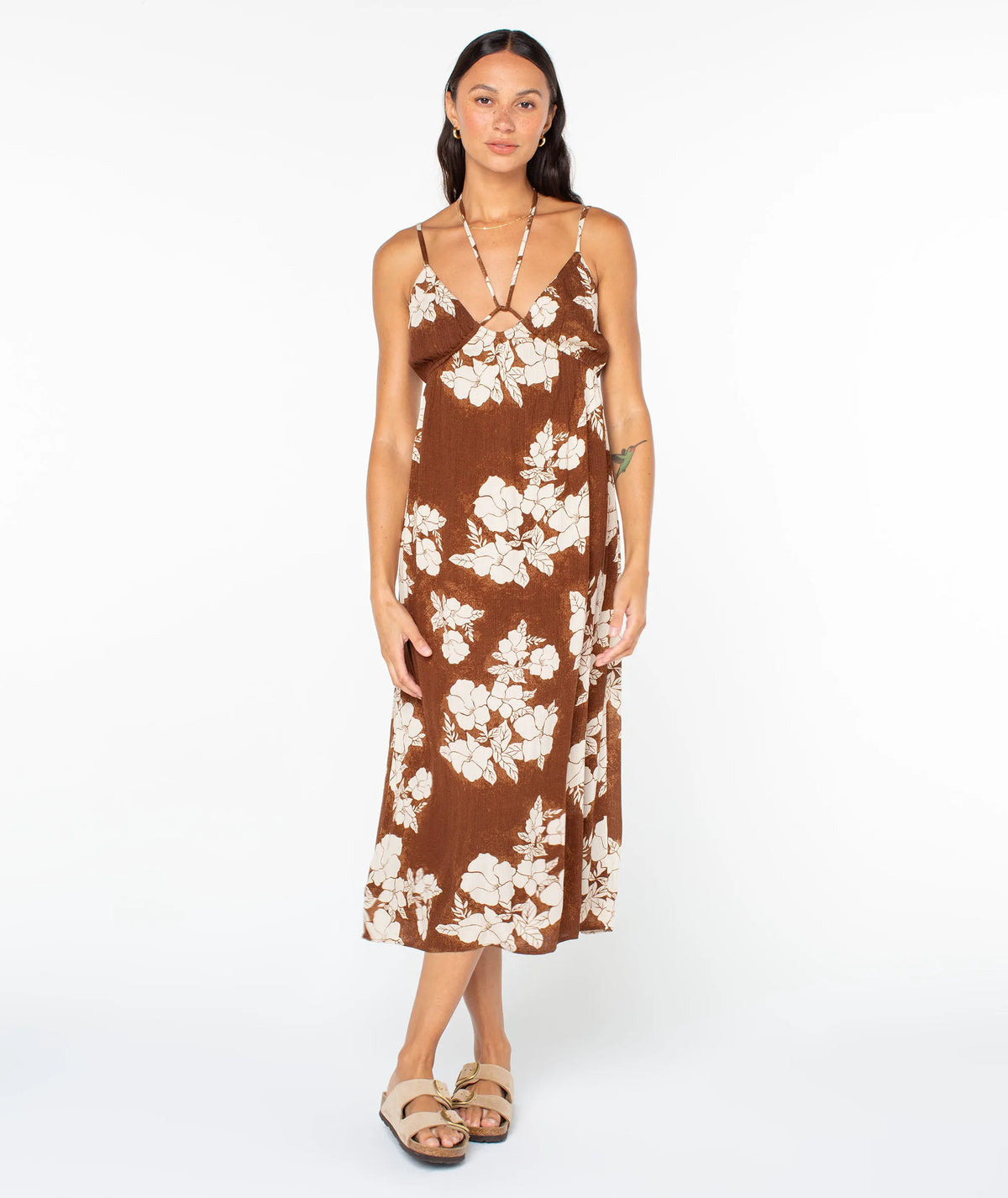 Tiramisu Hibiscus Hideaway