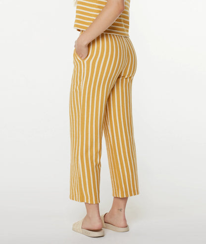 Amber Gold High Tide Stripe