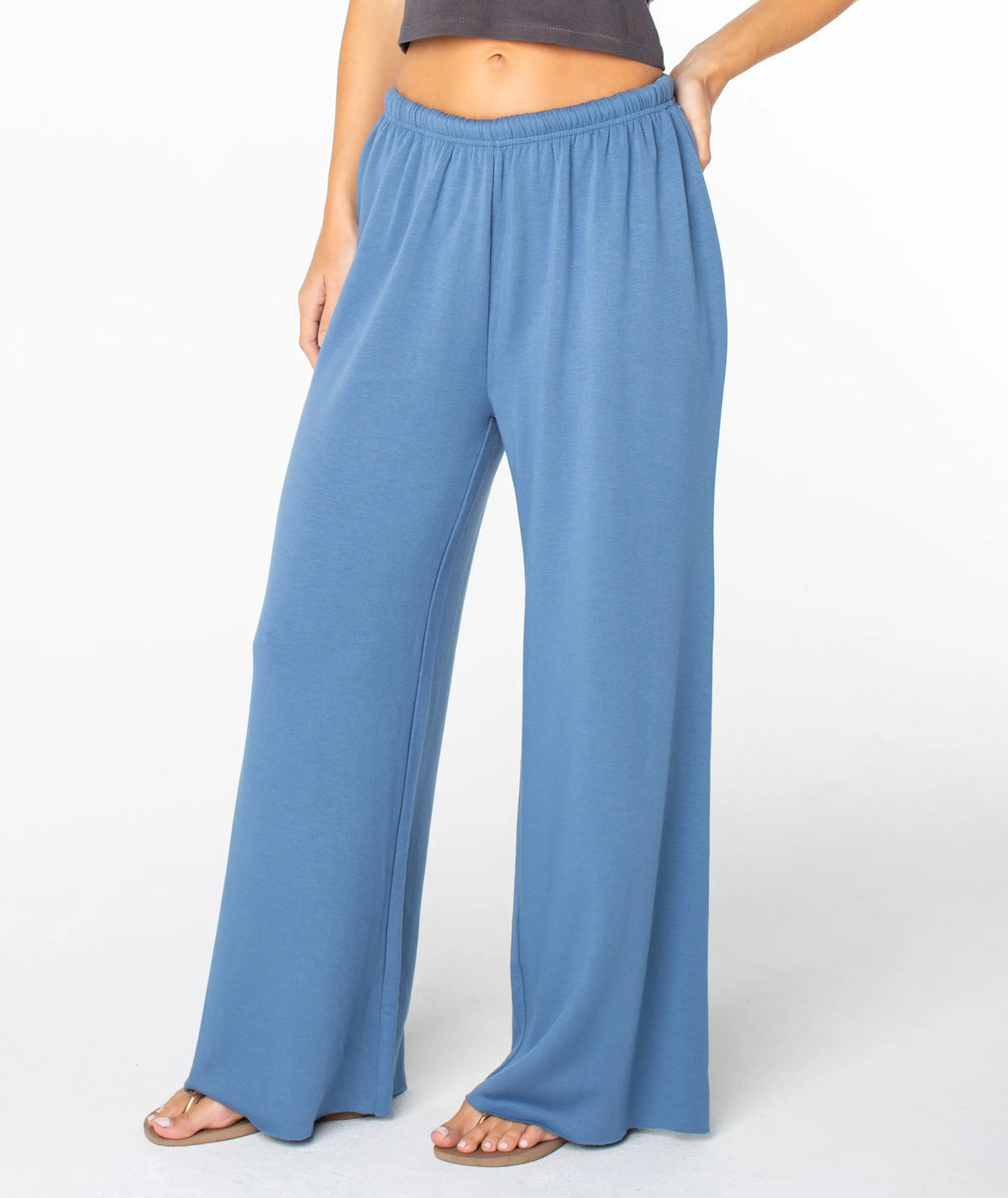 Blue Horizon Hibiscus Emb