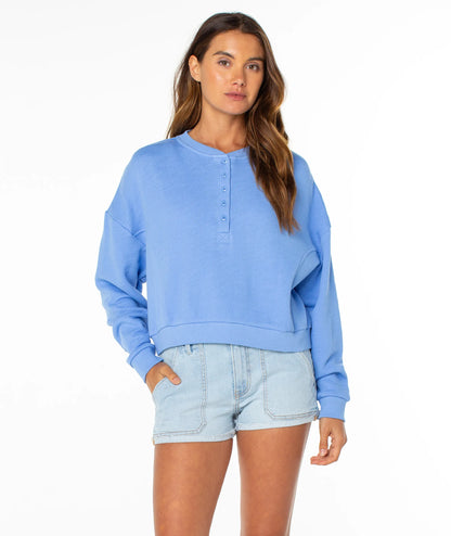 Cornflower Blue Solid