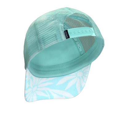 Endless Summer Fair Aqua