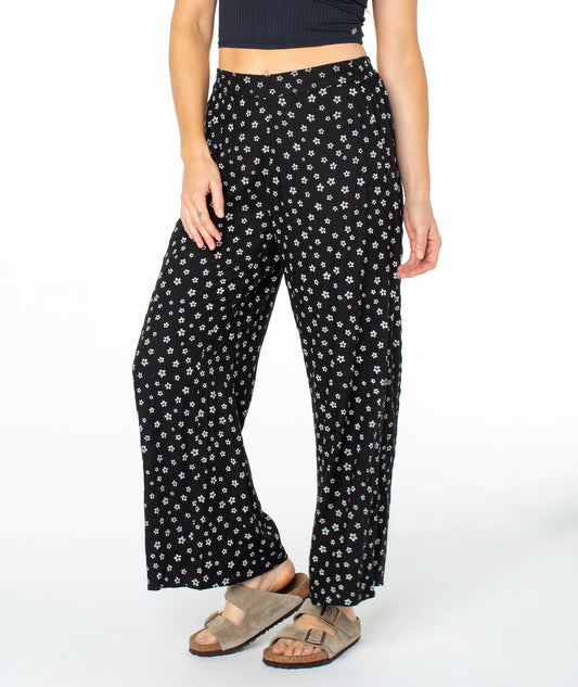 Anthracite Sol Searcher Ditsy