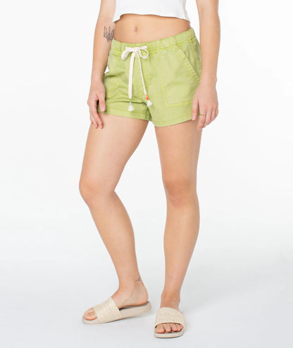 Tarragon Solid
