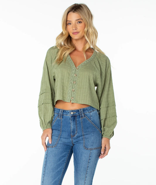 Oil Green Solid
