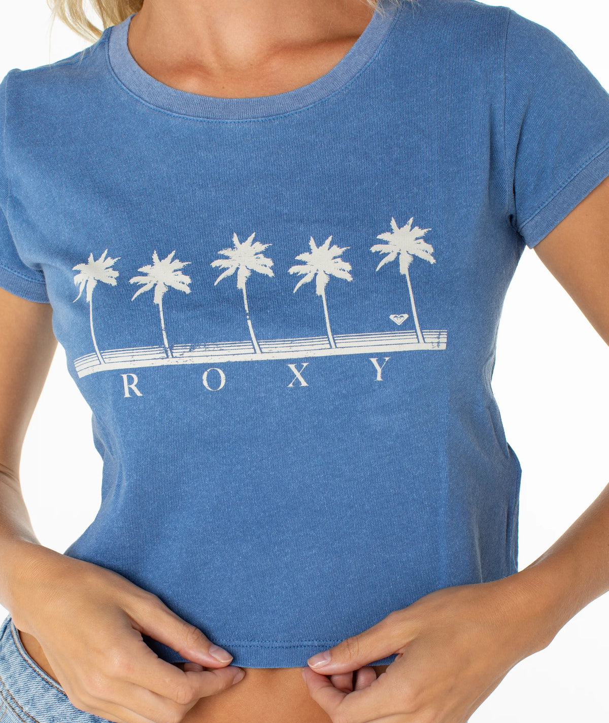 Blue Horizon Five Palm Stripe