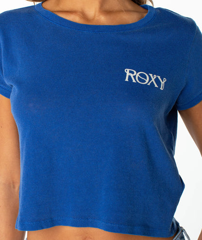 Surf The Web Beach Day