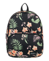 Anthracite Island Escape